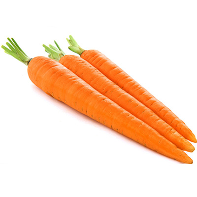 Carrot Carrot